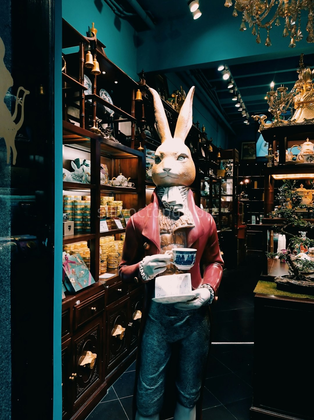 Luxury Gift Shop Interior